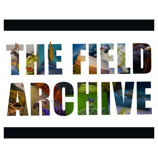 The Field Archive