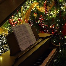 Ruta Pantera Travel Image