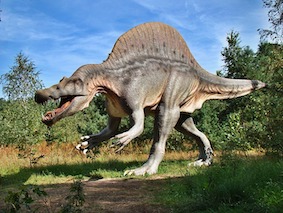 Ruta Pantera Travel Image