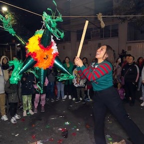 Ruta Pantera Travel Image