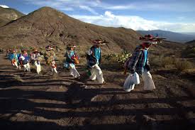 Ruta Pantera Travel Image