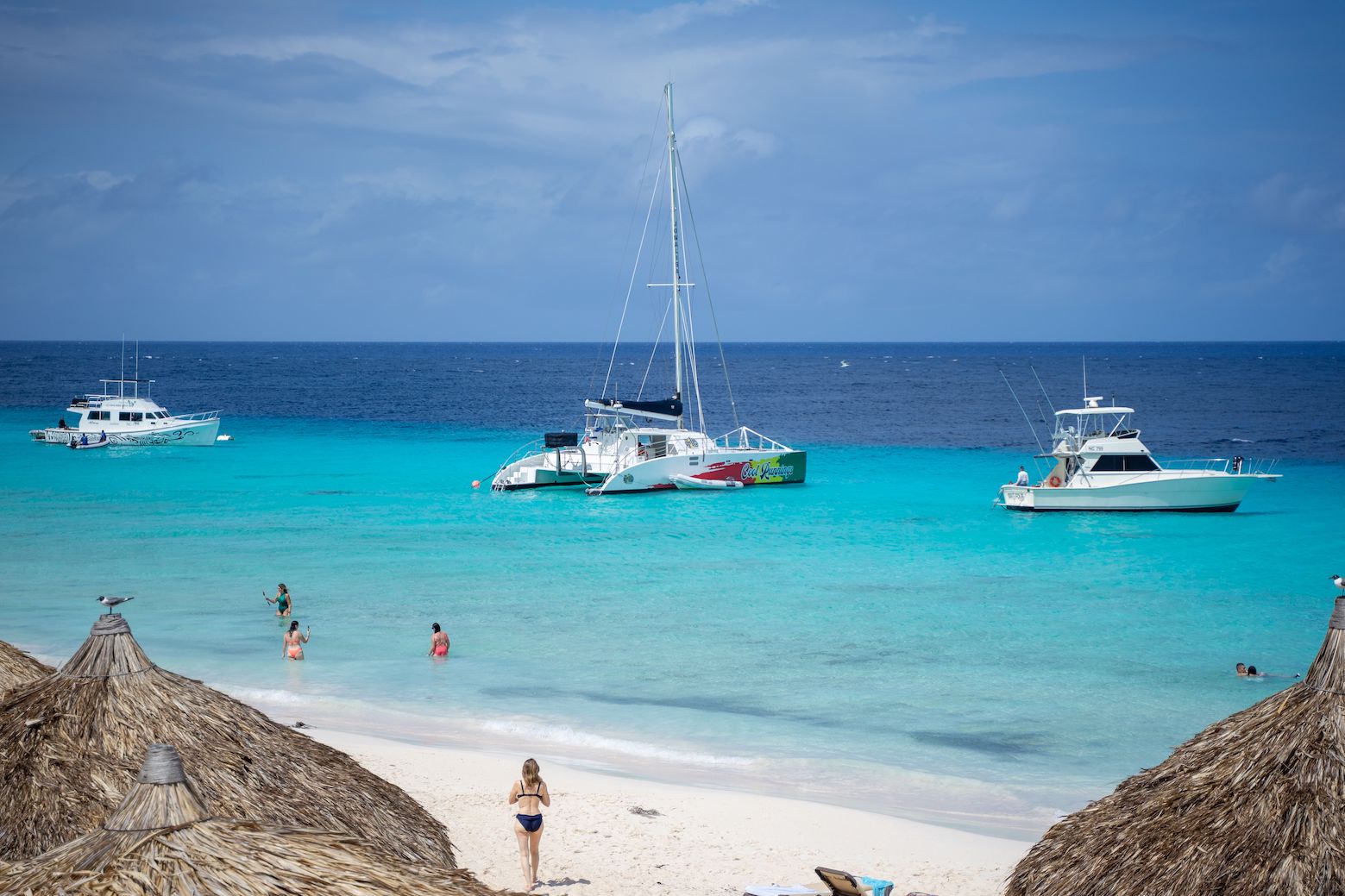 The Caribbean